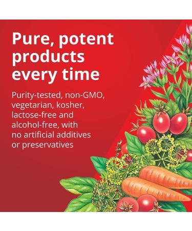 Gaia Herbs Floradix Iron Tablets - 120 Tablets for Enhanced Energy & Vitality - Buy Online on GoSupps.com