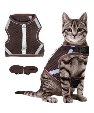 Cat dishes Breaking -out with a leash cat leash with dishes for cats cat reflectively patrols.