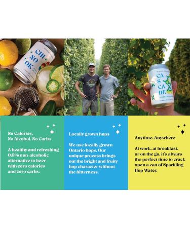 Chinook sparkling hop water 24x355mL - Buy Online on GoSupps.com