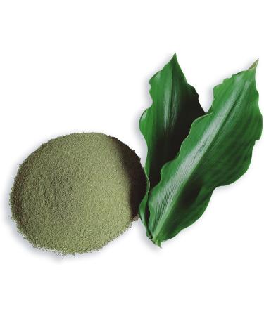Costus Igneus Leaves Powder 3.5 oz 100g (Insulin Plant Leaf Powder) Natural Supplement Insulin Plant - Buy Online on GoSupps.com