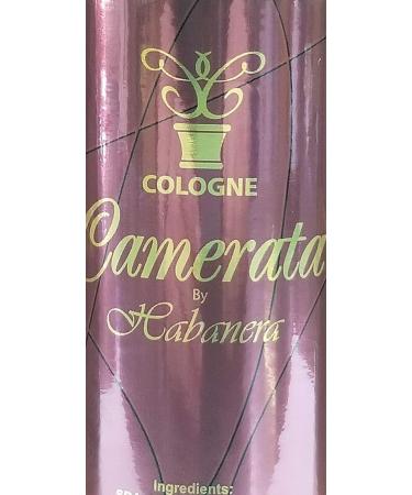 CAMERATA by HABANERA 3 PACK - Buy Online on GoSupps.com