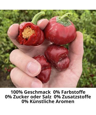 Organic Sweet Paprika Powder from Spain - Spicebar 450g XL Shaker - Premium Ground Paprika Spice for Cooking - Buy Online on GoSupps.com