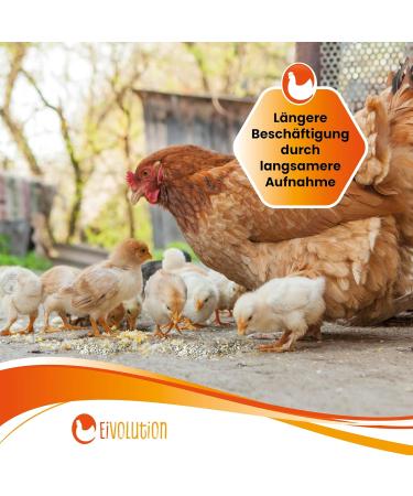 Egg Volution Organic Chicken Food 800g - Premium Laying Flour with Oregano for Hens Quail & Poultry - Healthy & Delicious Single Feed - Buy Online on GoSupps.com