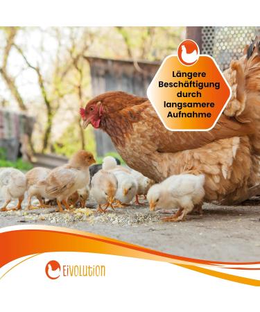 Egg Volution Organic Chicken Feed with Oregano Herb Mix 14 kg Premium Feed for Laying Hens Quail & Poultry | Healthy & Delicious - Buy Online on GoSupps.com