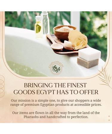 Natural Egyptian Loofah Exfoliating Body Scrubber - Skin-Friendly Vegan Luffa Sponges - 6x6 Inches, 3 Pack - Buy Online on GoSupps.com