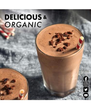 Buy Bluebonnet Nutrition Organic Plant Protein - 18g Protein Vegan Non-GMO Gluten-Free Chocolate Flavor - 1 LB - Buy Online on GoSupps.com