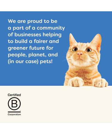 Applaws Natur Tuna Fillet with Salmon in Jelly - 24 x 70g Premium Wet Food for Adults - 1.68 kg Pack - Buy Online on GoSupps.com