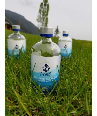 Natural Alkaline Water 473ML (473ML) - Buy Online on GoSupps.com