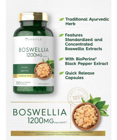 Carlyle Boswellia Extract Capsules | 250 Count | Boswellia Serrata Complex with Black Pepper Extract | Non-GMO Gluten Free Supplement - Buy Online on GoSupps.com