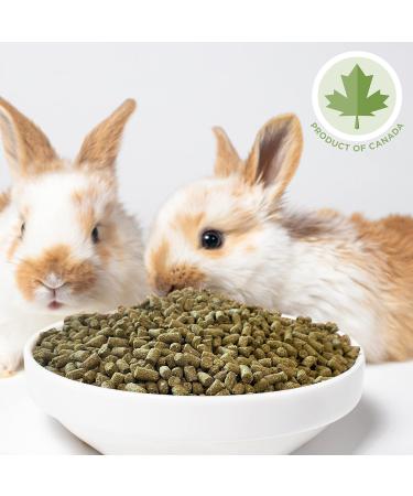 Stoter Farm Early Life Rabbit Food (5.5 LBS) 2.5 kg (Pack of 1) - Buy Online on GoSupps.com