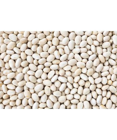 Hunza Organic Navy Beans 2 lbs - Premium Quality, Non-GMO (Pack of 1) - Buy Online on GoSupps.com