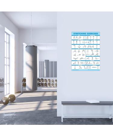 Palace Learning 3 Pack Kettlebell Workouts Volume 1 & 2 + Stretching Exercises Poster Set - 3 Workout Charts - LAMINATED 18 x 24 - Buy Online on GoSupps.com