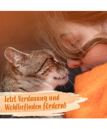Ida Plus Heilmoor & Beer Yeast for Dogs & Cats - Optimal Digestion & Gut Health - 1000g & 200g - Natural Peat & B-Vitamins - Buy Online on GoSupps.com