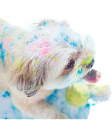  POLVO HOLI Holi Powder - 800g Pack of Holi Powder - 8 Bags of 100 grams - 8 Colors - Buy Online on GoSupps.com