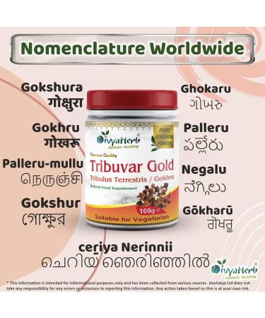 Tribuvar Gold Powder (Gokhru-Gokshura) - Natural Testosterone Booster - Buy Online on GoSupps.com