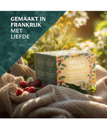 Milky Daisy Organic Raspberry Leaf Tea Tropical Mango Flavor Pregnancy Painful Periods and Breastfeeding 40 Tea Bags - Buy Online on GoSupps.com