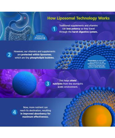 Core Med Science Liposomal Oral Sleep Spray Formula 1 Fl Oz - Melatonin Spray Supports Restful & Quality Sleep & Relaxation - Glutathione Melatonin & GABA for Adults 1 Fl Oz (Pack of 1) - Buy Online on GoSupps.com