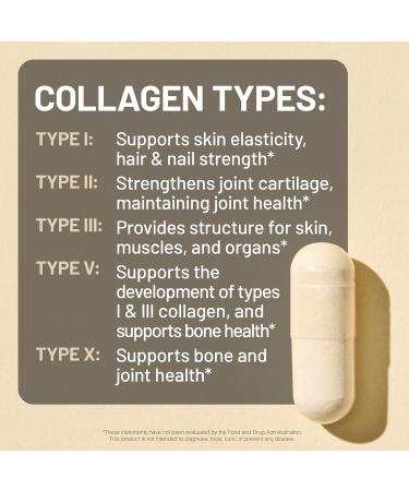 NatureWise 1 Multi Collagen Peptides Pills + Hyaluronic Acid - 90 Capsules 30 Day Supply + 1 Omega 3 Fish Oil 1000mg + Vitamin E - Wild-Caught - 60 Softgels 30-Day Supply  - Buy Online on GoSupps.com