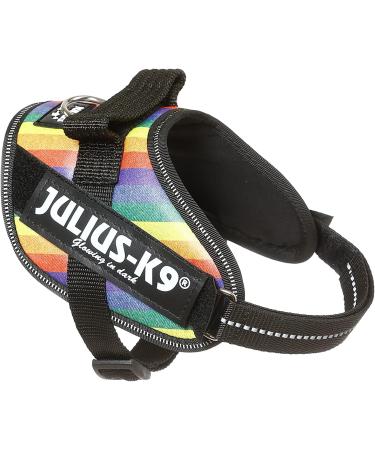 Buy IDC Powerharness XS/Mini-Mini - Rainbow Faux Leather | International Shipping Available - Buy Online on GoSupps.com