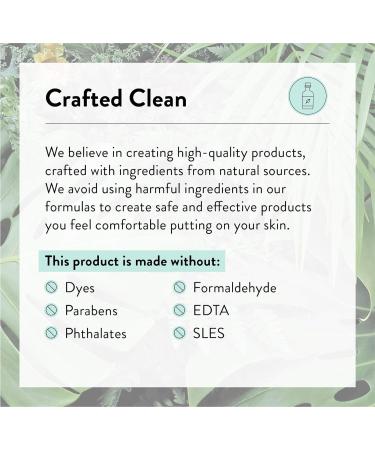 J.R. Watkins Foaming Hand Soap Refill Pouch - 2 Pack Aloe & Green Tea 28 fl oz - USA Made, Cruelty Free - for Bathroom or Kitchen - Buy Online on GoSupps.com