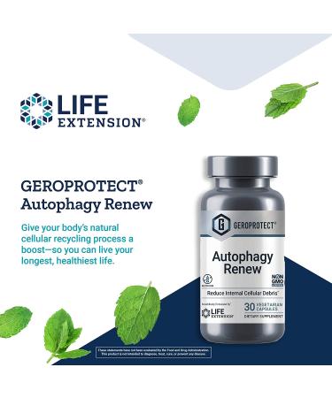 Life Extension GeroProtect Autophagy Renew - 30 Vegetarian Capsules for Enhanced Longevity - Buy Online on GoSupps.com