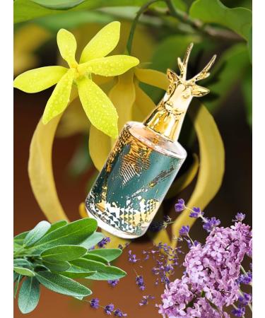 RACING CLUB LODGE POUR HOMME EAU DE TOILETTE 3.4 FL. OZ. Woody Aromatic fragrance for men - Buy Online on GoSupps.com