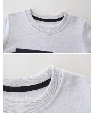 Kids Dinosaur Sweatshirt - Cotton Long Sleeve Pullover for Boys, 6-7 Years - Buy Online on GoSupps.com