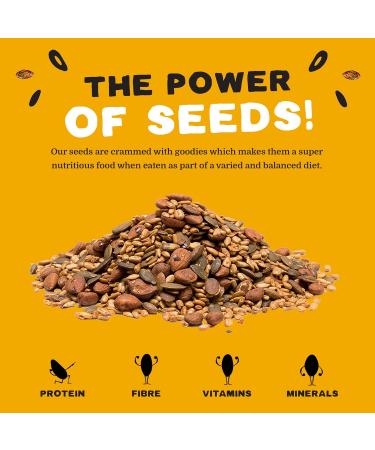 MUNCHY SEEDS Mega Omega 7-Seed Mix | Plant-Based Protein Snack | Gluten & Wheat Free | Vegan | 450g Mega Pack - Buy Online on GoSupps.com