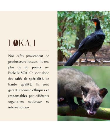 LOKAL Caf do Jacu coffee from freeliving animals coffee beans 100 Arabica 100 g - Buy Online on GoSupps.com
