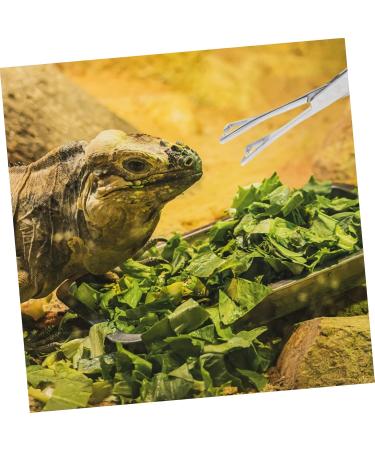 VILLFUL Reptile Feeding Clip Snake Tongs Bearded Dragon Feeding Tongs Silver Stainless Steel - Buy Online on GoSupps.com