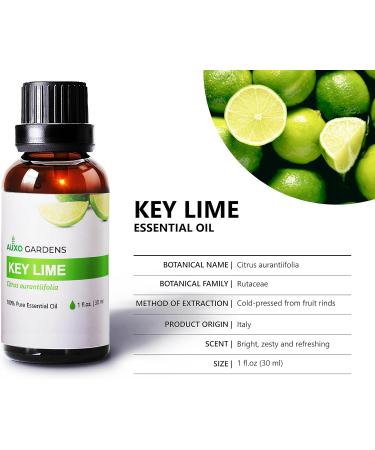 Citrus Essential Oil Set - Pack of 3 (1 oz) | Pure Therapeutic Grade Lime Clementine Grapefruit | International Shipping Available - Buy Online on GoSupps.com