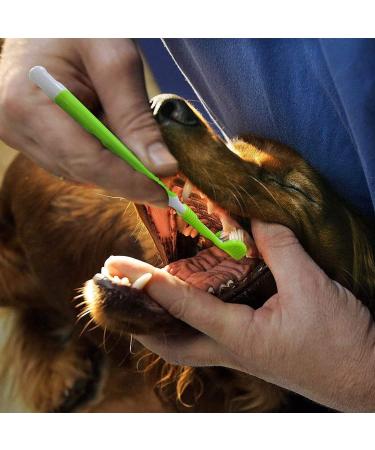 KTL 3 Pcs Dog Toothbrush Three Heads Toothbrush for Pet Teeth Care - Buy Online on GoSupps.com