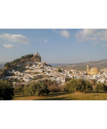 Montevilla Extra Virgin Olive Oil 5 liters New Harvest 20242025 100 Spanish Olive Oil from Andalusia Hot or Cold Use Premium Quality - Buy Online on GoSupps.com