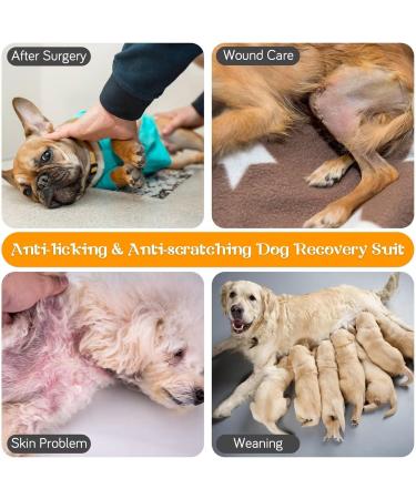 Idomik Dog Recovery Suit for Men & Women | Breathable Surgical One-Piece with Urinating Hole | XL (Chest Girth: 26.77 - 31.50) - Alternative to E-Collar - Buy Online on GoSupps.com