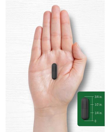 St John's Wort Capsules 4800mg | 300 Count | Non-GMO Gluten Free Supplement | Standardized Extract by Carlyle - Buy Online on GoSupps.com