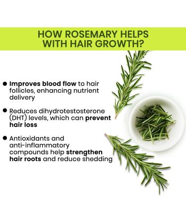 Rosemary Water Spray for Hair Growth | Strengthen Revitalize & Thicken Hair | Damage Repair & Hair Loss Control | Adds Shine & Reduces Frizz | 6.76 Fl Oz/200ml 6.76 Fl Oz (Pack of 1) - Buy Online on GoSupps.com
