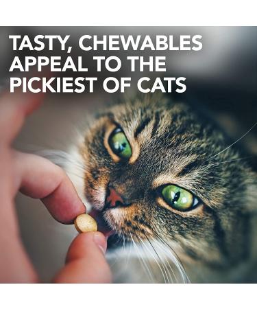 Vet's Best Cat Urinary Tract Support Chewables - Promotes Healthy Urinary Tract | 60 Tablets - Buy Online on GoSupps.com