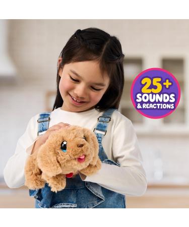 Little Live Pets My Puppy's Home Interactive Plush Toy Kennel - 25+ Sounds & Reactions - Build DIY Kennel - Surprise Puppy Included - Buy Online on GoSupps.com