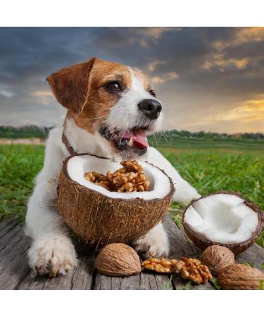 Trade Teamwork Wurmerli - Herbal Drops & Treats for Dogs | 92g - Made in Germany | Natural Wormwood Aloe & Green Walnut - International Shipping Available - Buy Online on GoSupps.com