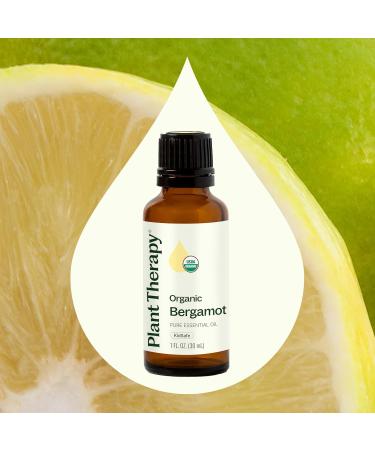 Plant Therapy Organic Bergamot Essential Oil 30 mL (1 oz) 100% Pure Undiluted USDA Certified Organic Bergapten-Free Citrus Oil for Aromatherapy Mood Support & Skin Care Bergamot 1 Fl Oz (Pack of 1) - Buy Online on GoSupps.com