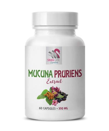 velvet beans dried - MUCUNA PRURIENS EXTRACT - mucuna extract mucuna pruriens seeds mood support supplement for women mucuna supreme mucuna pruriens powder energy supplements 1 Bot 60 Capsules