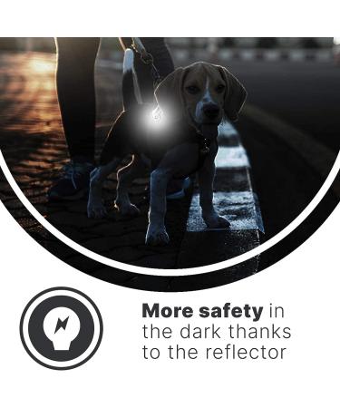 Thingles 4 x Reflector Clips - Magnetic Reflectors for Clothing Jacket Dog Harness - Flexible Use When Jogging Backpacks or School Bag Silver  - Buy Online on GoSupps.com