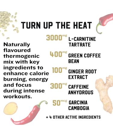 IRON KINGDOM THERMO CUTS (Thermogenic Pre-Workout) ORANGE CREAMSICLE Fat Burner Energy Focus Carnitine Caffeine Orange Creamsicle 30 Servings (Pack of 1) - Buy Online on GoSupps.com