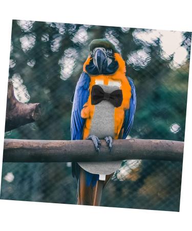 MipCase 2-Pack Flying Bird Diapers & Makabuns Fly Suit | Comfortable Gray Parrot Clothing | Decorative Bird Flight Costume | Nymphic Bird Diaper 12x6cm - Buy Online on GoSupps.com