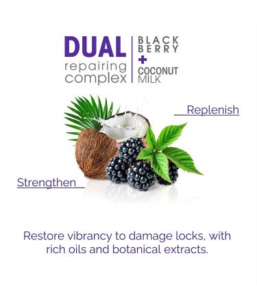 Giovanni 2chic Repairing Shampoo - Blackberry & Coconut Milk for Damaged Hair | 8.5 fl oz - Buy Online on GoSupps.com