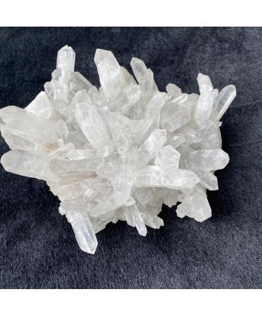 CIMWJOPS and Crystal Stone Natural Crystal Geode Stone White Crystal Stone White Crystal Cluster Clear Quartz 1KG - Buy Online on GoSupps.com