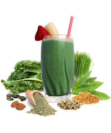 Sunfood Organic Supergreens & Protein Powder 2.2 lb - Nutrient-Dense Superfood Blend - Buy Online on GoSupps.com
