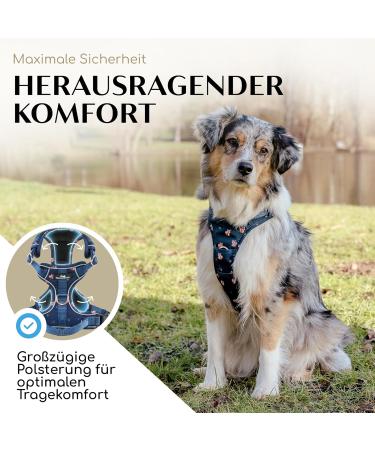 Freudentier Breathable Dog Harness - Padded Anti-Drawing For All Sizes - Let s Get Foxy Collection - Comfortable Seat for Large Medium & Small Dogs - Buy Online on GoSupps.com