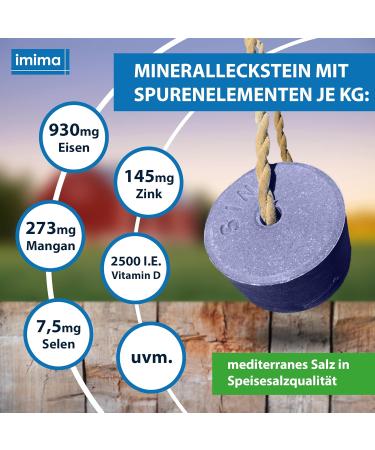 Imima Mineralleckstein Horse Anti-Insect Salzleckstein Set | 2 x 3kg Mineral Salt Lick Stones for Horses Sheep Goats & Cattle - 6kg Total Pack - Buy Online on GoSupps.com