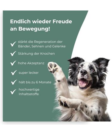 Buy Journey Tablets for Dogs - Green Lipped Mussel MSM Glucosamine & Devil Claw | 100 Pieces Made in Germany 6-Month Supply - Buy Online on GoSupps.com